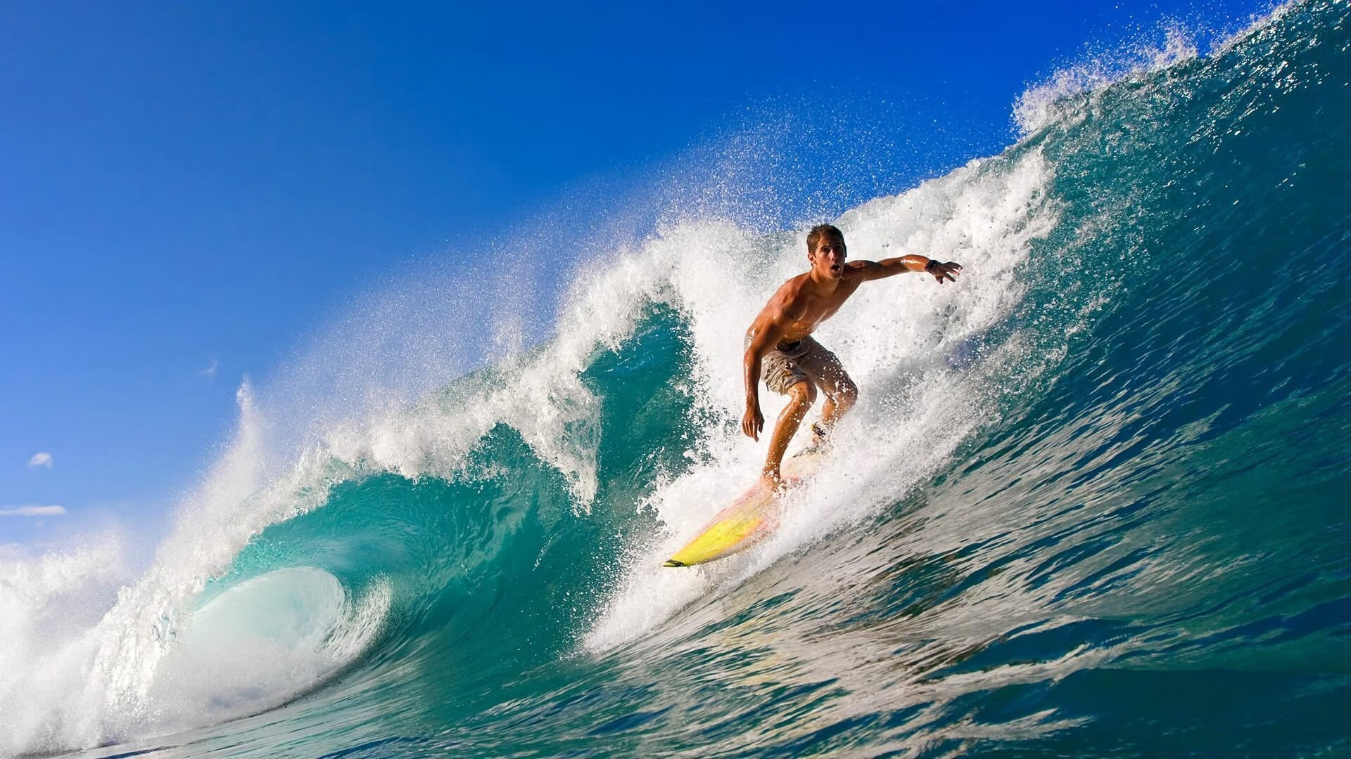 美加墨世界杯倒计时与NBA赛场风云，快船力克公牛背后的竞技启示
