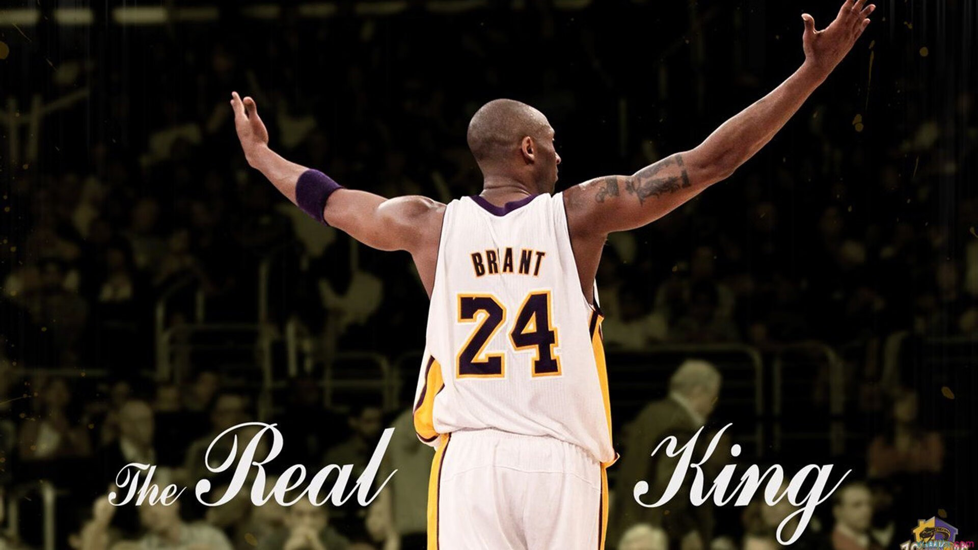 开云体育在线-年终总决赛险胜美网，纳达尔点燃赛场